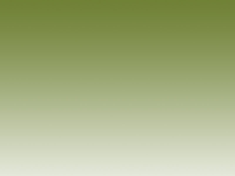 index2011009012.jpg