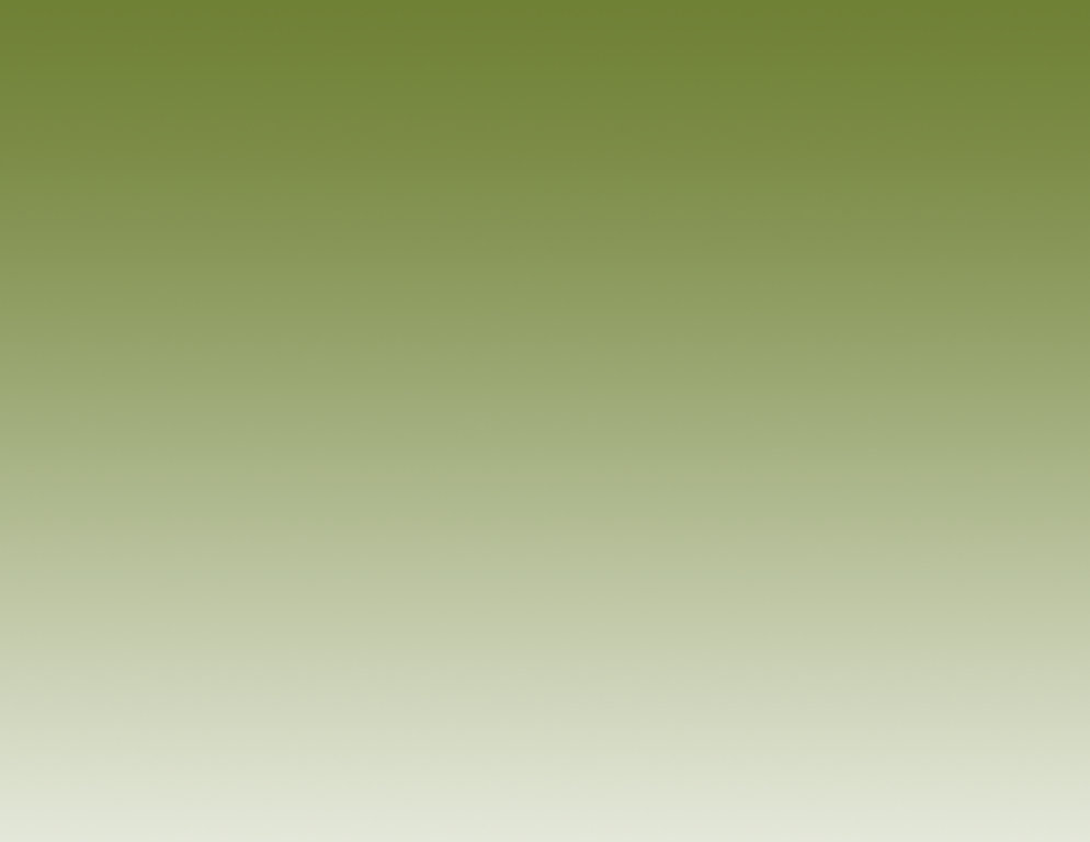 index2011009013.jpg