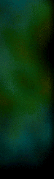index2011010008.gif