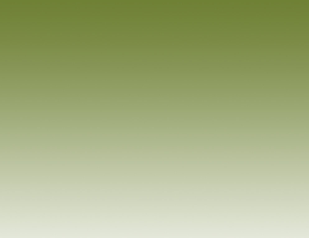 index2011010009.jpg