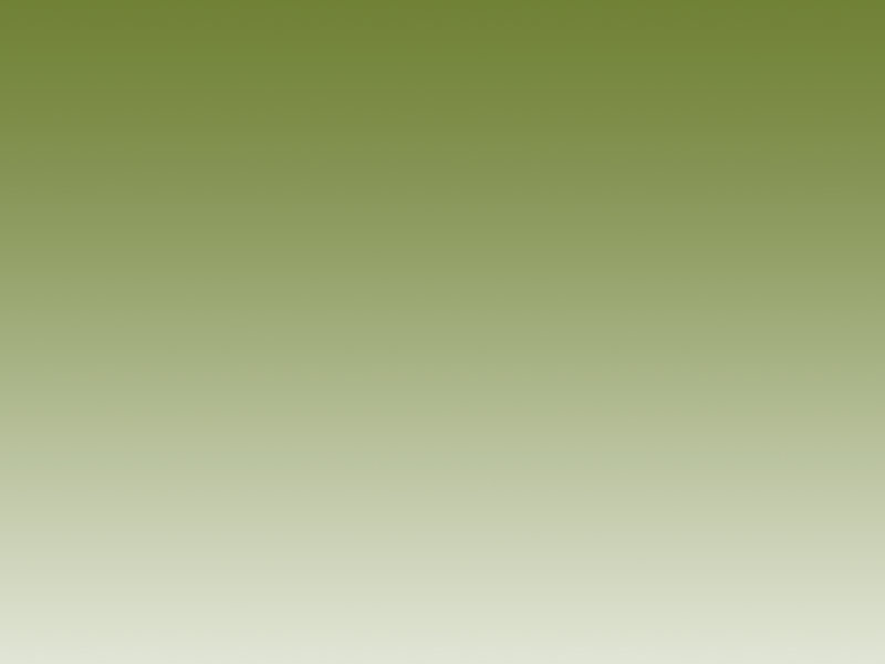 index2011008011.jpg