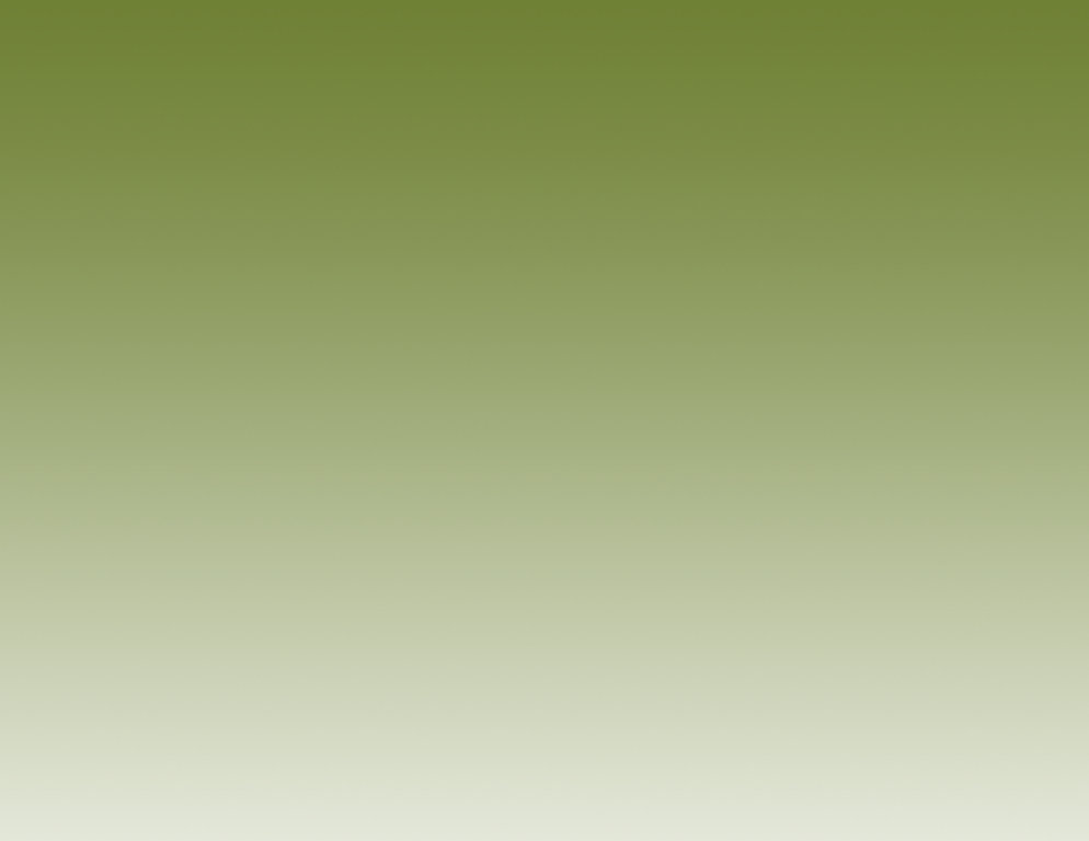 index2011018012.jpg