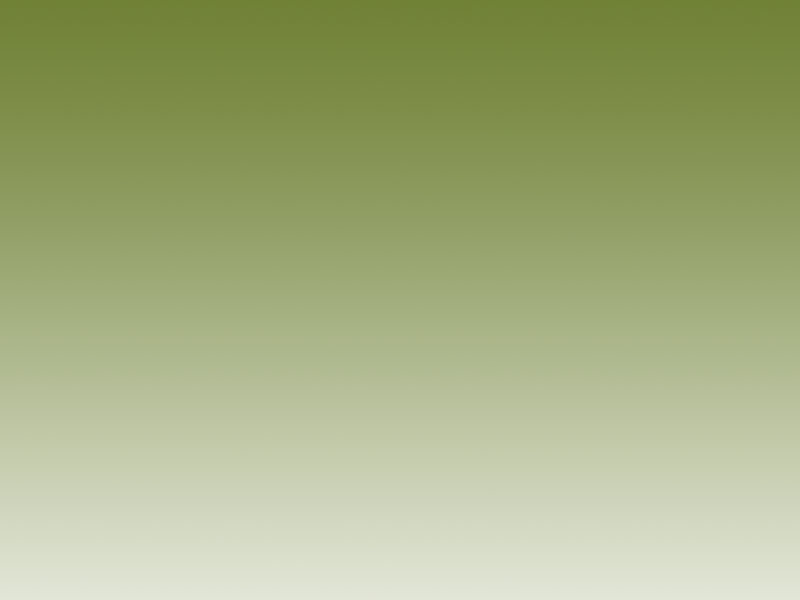 index2011020017.jpg