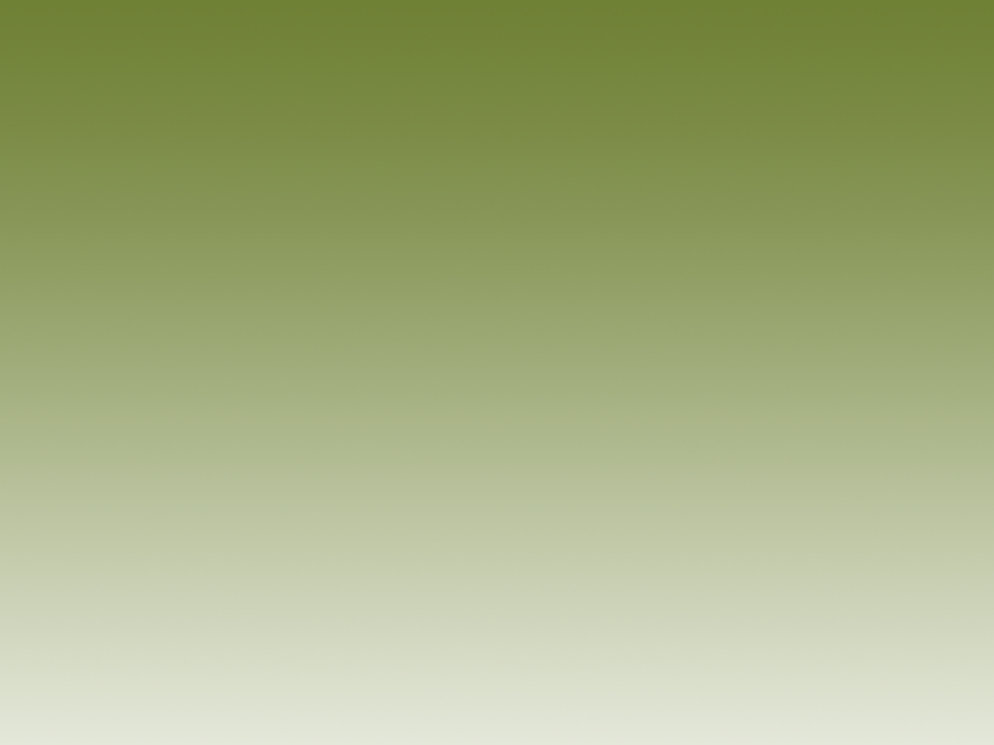 index2011020018.jpg